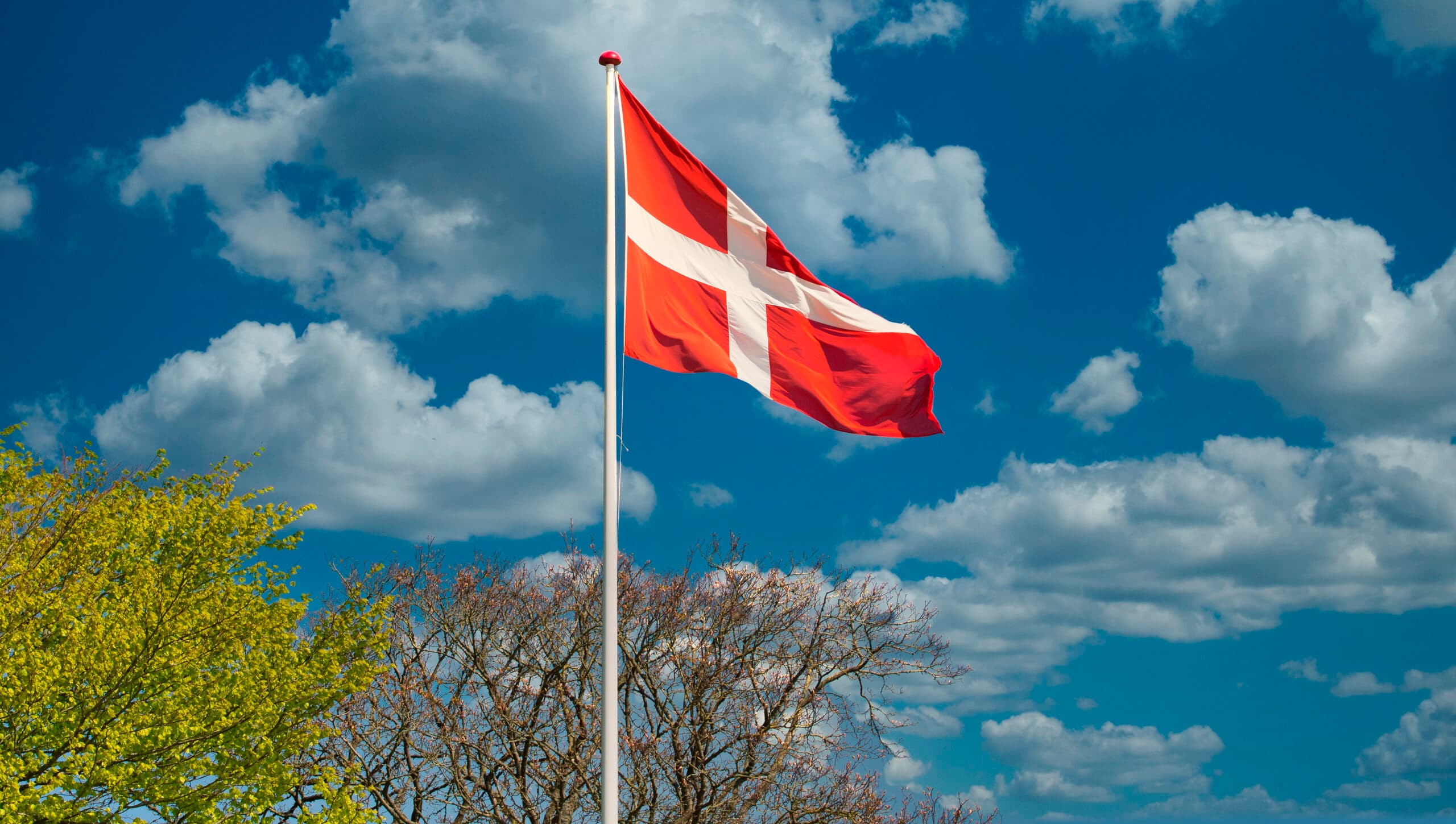 Det danske flag med et hvidt skandinavisk kors på rød baggrund blafrer på en flagstang mod en blå himmel med hvide skyer og træer under.